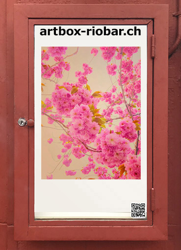 Sonja Maria Schobinger