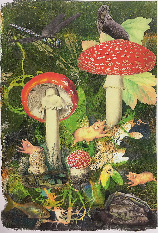 rebecca-berlinger-collagen