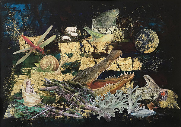 rebecca-berlinger-collagen